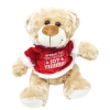 Cover Image for Plush Bear wearing a Cream Sweater w/ St. Thomas Shield